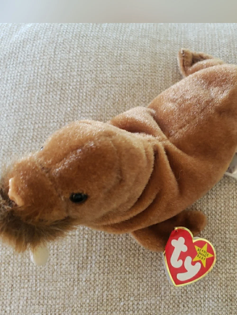 Ty Beanie Baby 7in Brown Plush Walrus Toy PAUL 1999 Never Handled Excellent